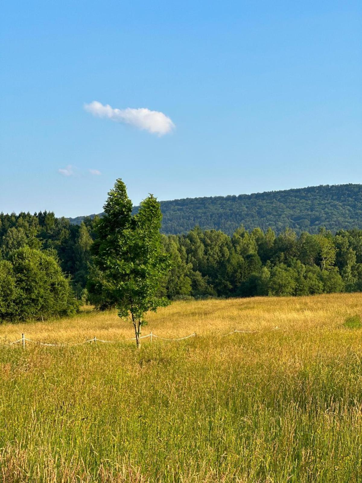 Biesczadowa Dolina Villa Ustrzyki Dolne Buitenkant foto