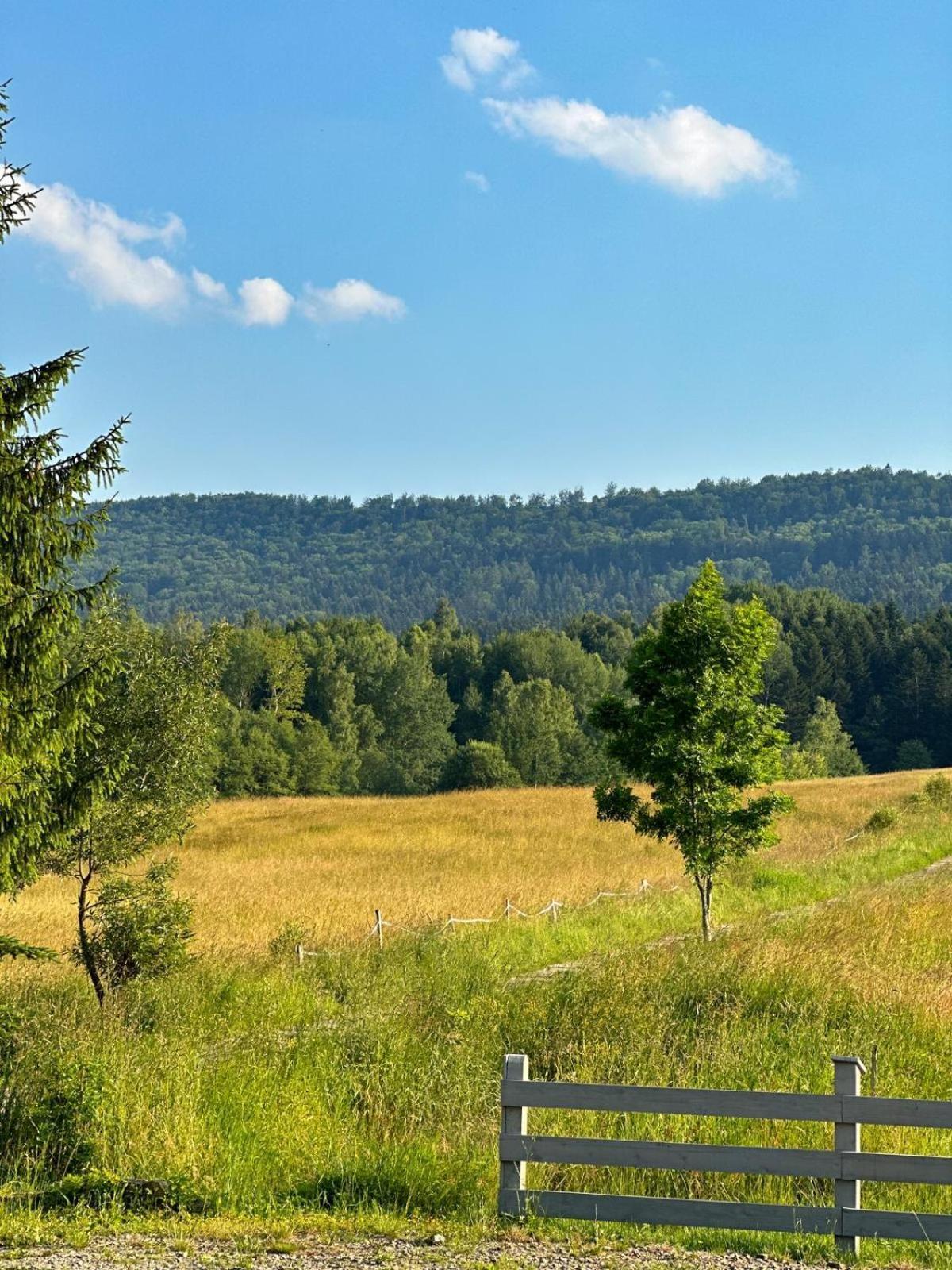 Biesczadowa Dolina Villa Ustrzyki Dolne Buitenkant foto